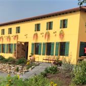 Bent Ridge Winery