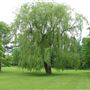 Haliburton House Museum