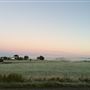 Rural Windsor Roads