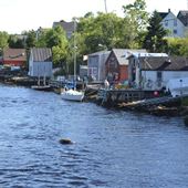 Herring Cove