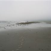 Conrad's Beach