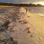 Bayswater Beach