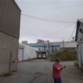 Minas Pulp and Paper