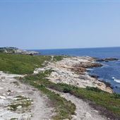 DUNCAN'S COVE