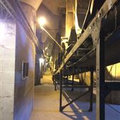 Halifax Grain Elevators