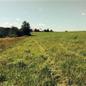 Nova Scotia Pastures and Fields