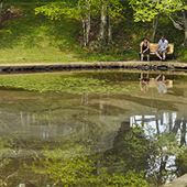 Hemlock Ravine Park