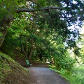 Victoria Park - Truro