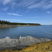 The Ovens Campground and Nature Park
