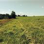 Nova Scotia Pastures and Fields