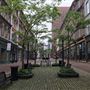 Granville Mall