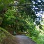 Victoria Park - Truro