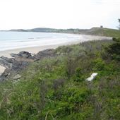 Kingsburg Beach