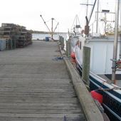Little Harbour