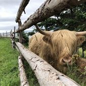 Baile nan Gàidheal | Highland Village Museum