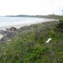 Kingsburg Beach