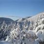 Cape Breton Highlands