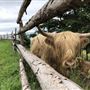 Baile nan Gàidheal | Highland Village Museum
