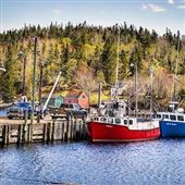 NORTHWEST COVE