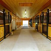 Various Horse Facilities