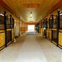Various Horse Facilities