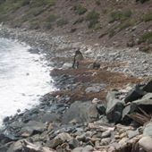Lawrencetown Beach