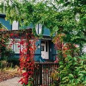 The August House