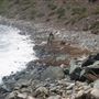 Lawrencetown Beach