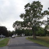 Small Scale Windsor Housing