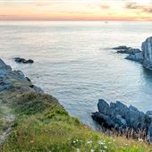 Cape St. Mary's